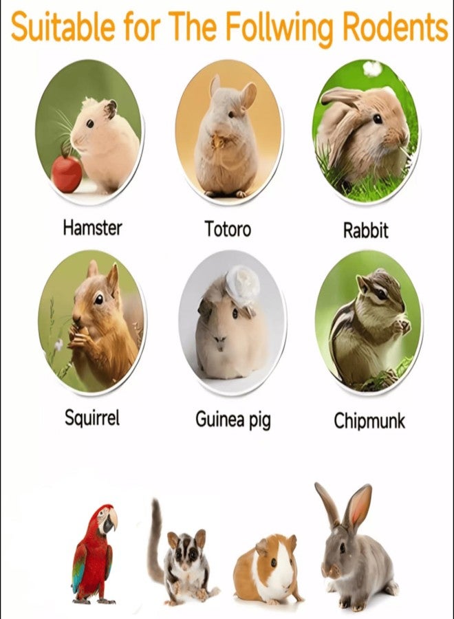 مكافآت زهور الكركديه المجففة الدافئة واللذيذة للحيوانات الأليفة الصغيرة، 6 أونصات - وجبات خفيفة طبيعية لحيوانات الشنشيلة، وخنازير غينيا، والأرانب، وغيرها من الحيوانات العاشبة - Image 5